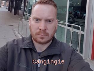 Cangingie