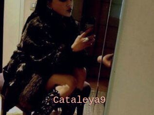Cataleya9