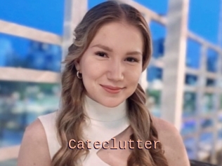 Cateclutter