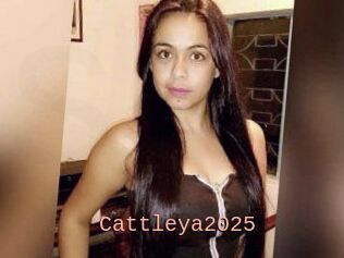 Cattleya2025