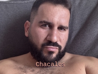 Chacales