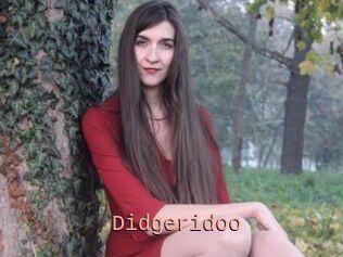 Didgeridoo