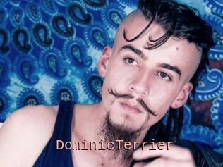 DominicTerrier