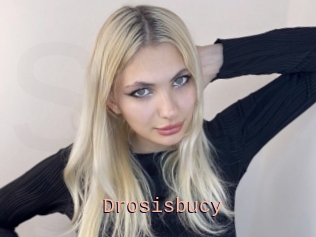 Drosisbucy