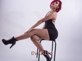 EvaBird