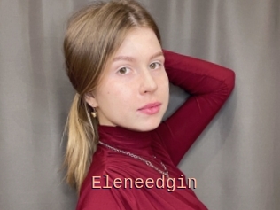 Eleneedgin