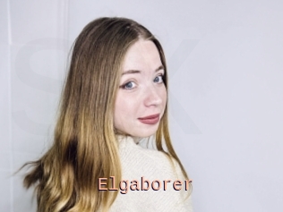 Elgaborer