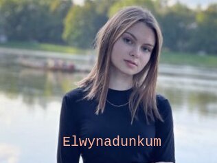 Elwynadunkum