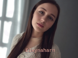 Elwynaharn