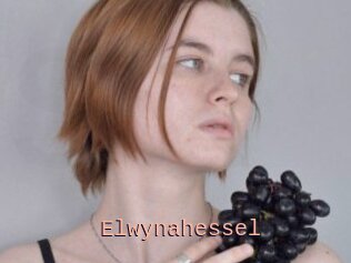 Elwynahessel