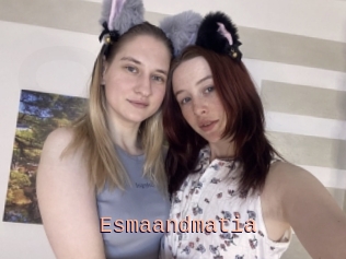 Esmaandmatia