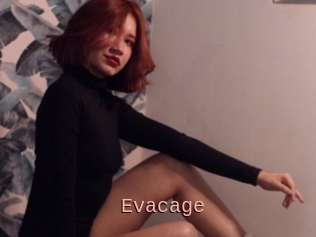 Evacage