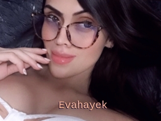 Evahayek