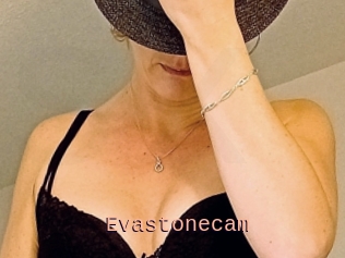 Evastonecam