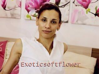 Exoticsoftflower
