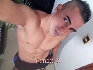 Fenix_S