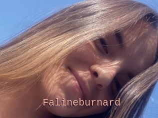 Falineburnard