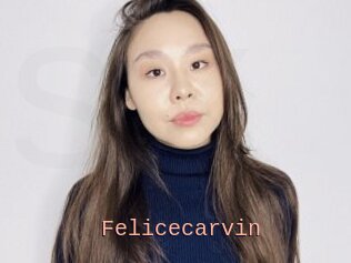 Felicecarvin