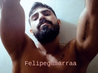 Felipegamarraa