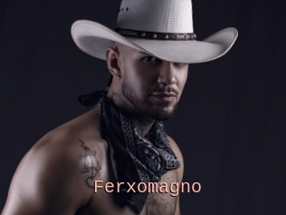 Ferxomagno