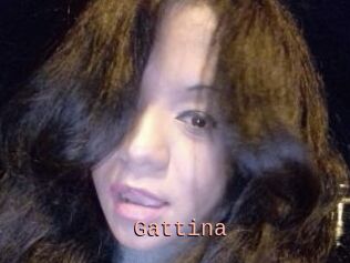 Gattina