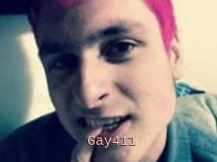 Gay411