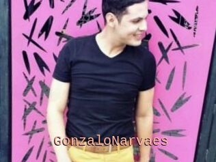 GonzaloNarvaes