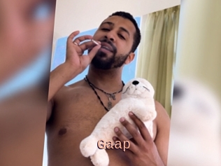 Gaap