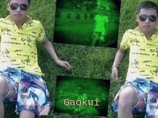 Gaokui