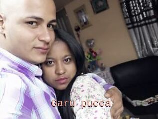 Garu_pucca