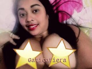 Gaticafiera