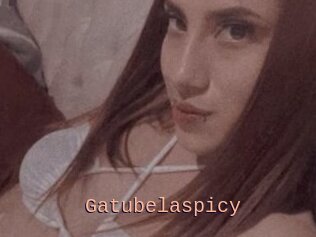 Gatubelaspicy