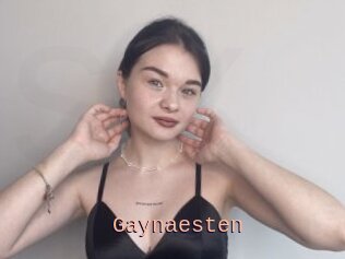 Gaynaesten