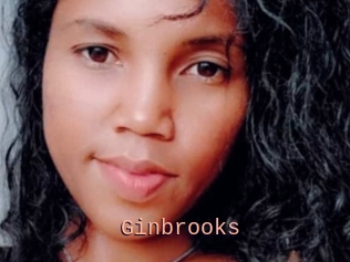 Ginbrooks