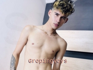 Gropingvoys