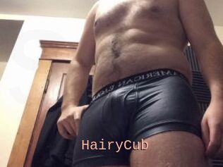 HairyCub