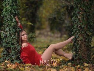 Hajny