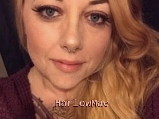 Harlow_Mae