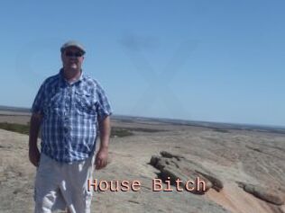 House_Bitch