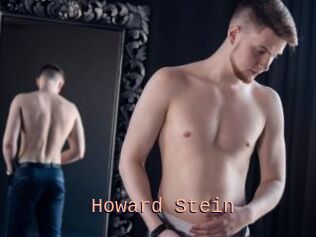 Howard_Stein