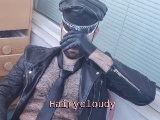 Hairycloudy