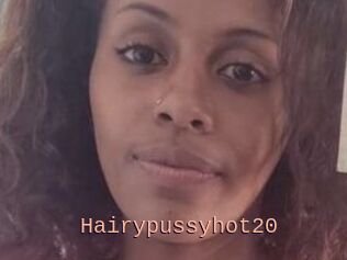 Hairypussyhot20