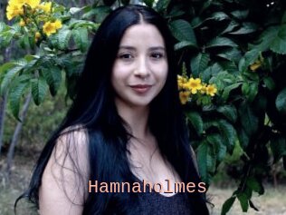 Hamnaholmes