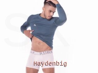 Haydenbig