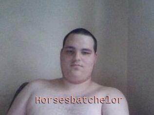 Horsesbatchelor