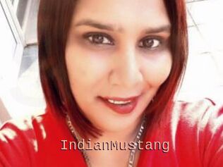 IndianMustang