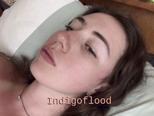 Indigoflood