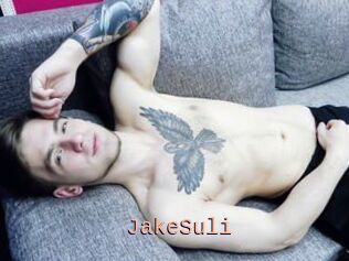 JakeSuli