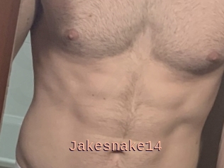 Jakesnake14