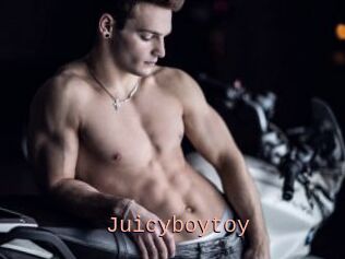 Juicyboytoy